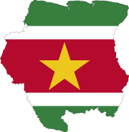 Surinaamse party